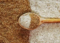 White and Brown Rice: The Ultimate Nutritional Battle