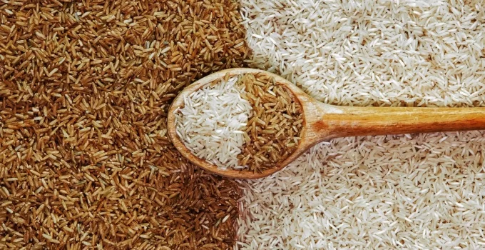 White and Brown Rice: The Ultimate Nutritional Battle