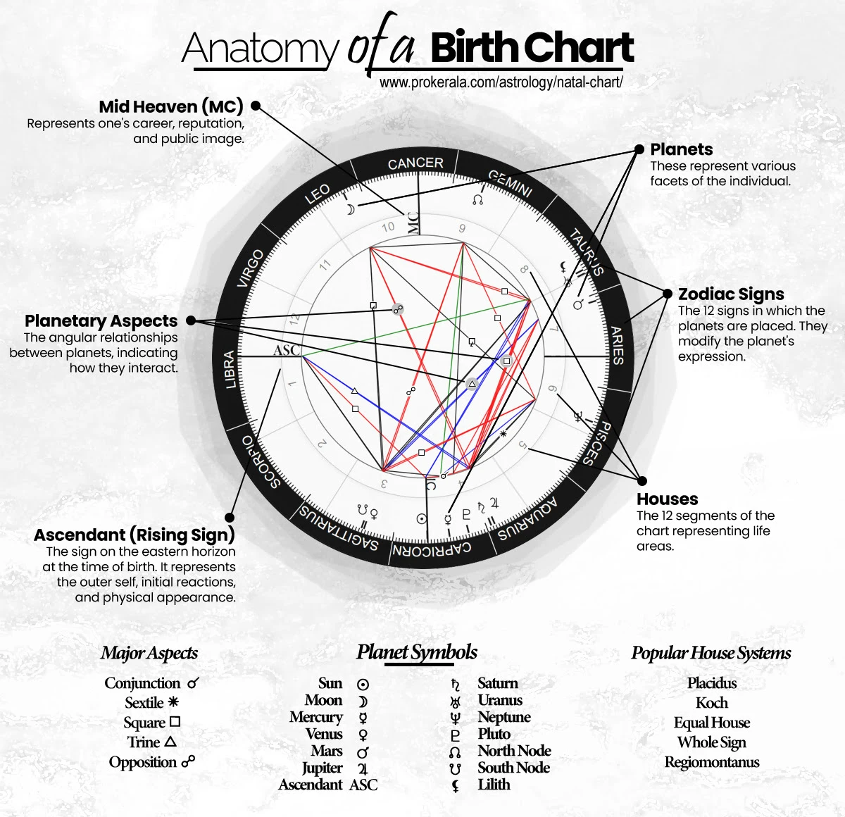 Natal Chart