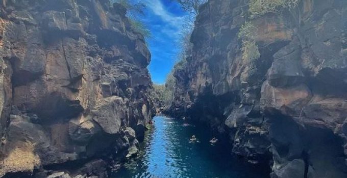 Pulau Galápagos Penyu: Surga di Pulau yang Dihuni oleh Hewan dan Bukan Manusia