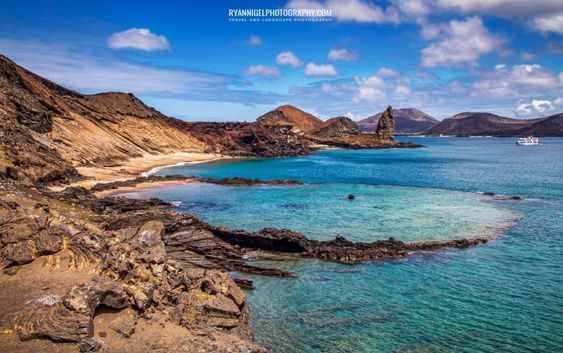 Pulau Galápagos Penyu