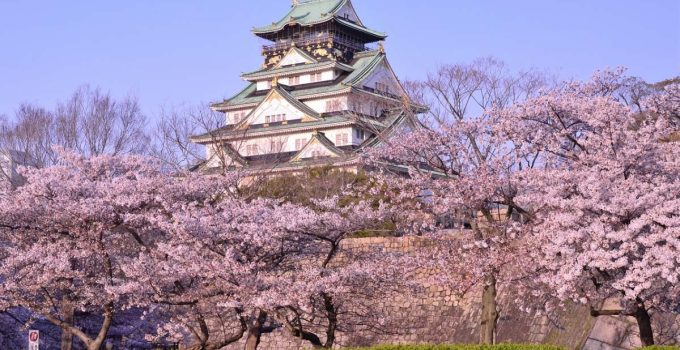 Wisata Sakura: Menikmati Pesona Mekar Bunga Ikonik Asia