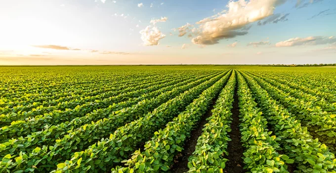 Crop Production: The Backbone of Global Agriculture